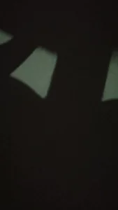 人种配人种大全免费